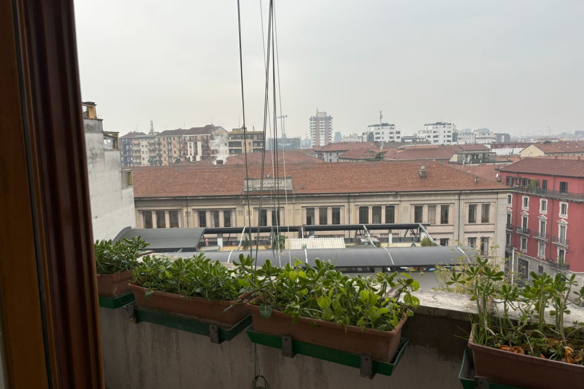 08cbalcone