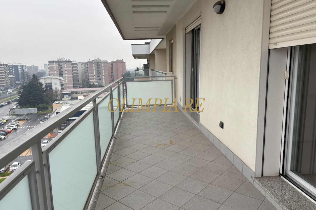 19dbalcone