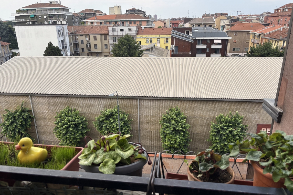 03cbalcone-ag