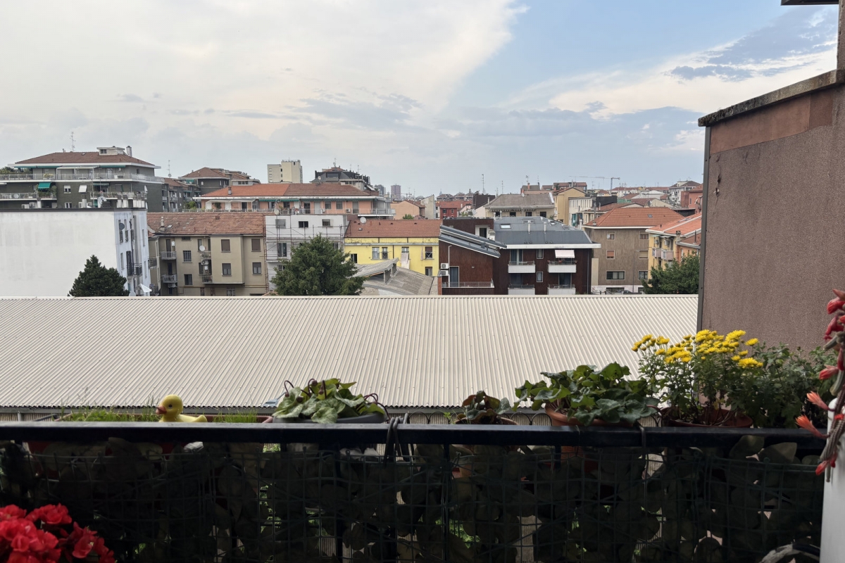 05dbalcone-ag
