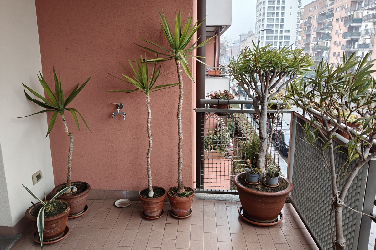 07balcone-gon