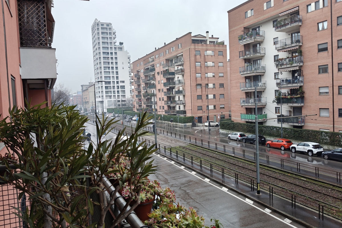 10vista-gon