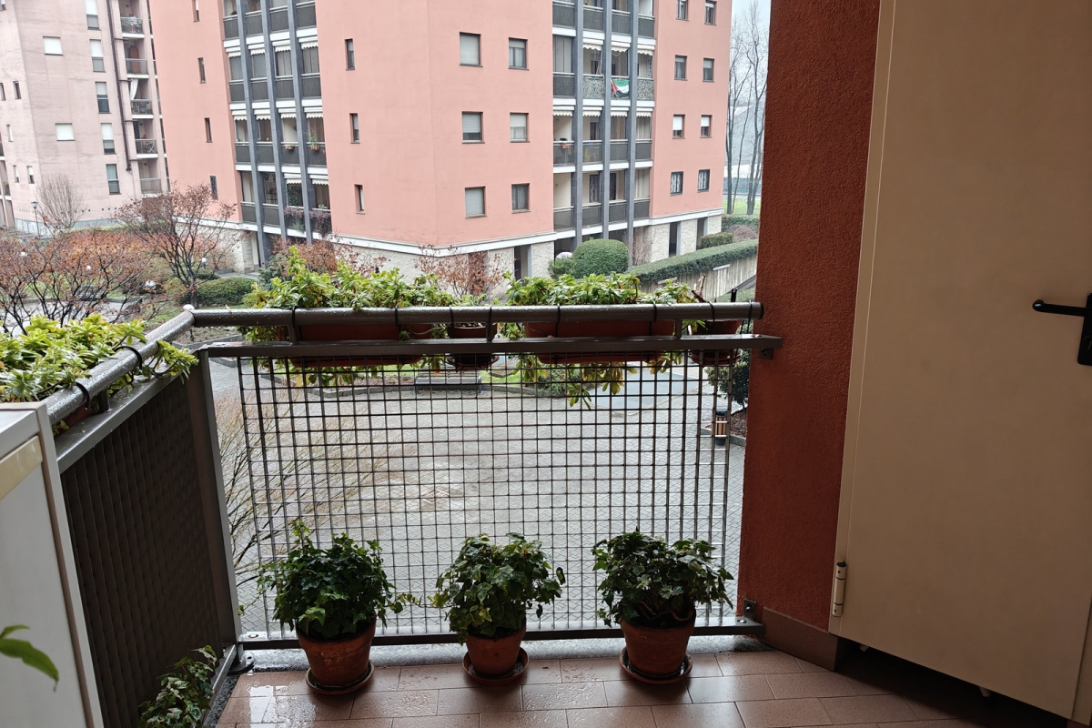 18dbalcone