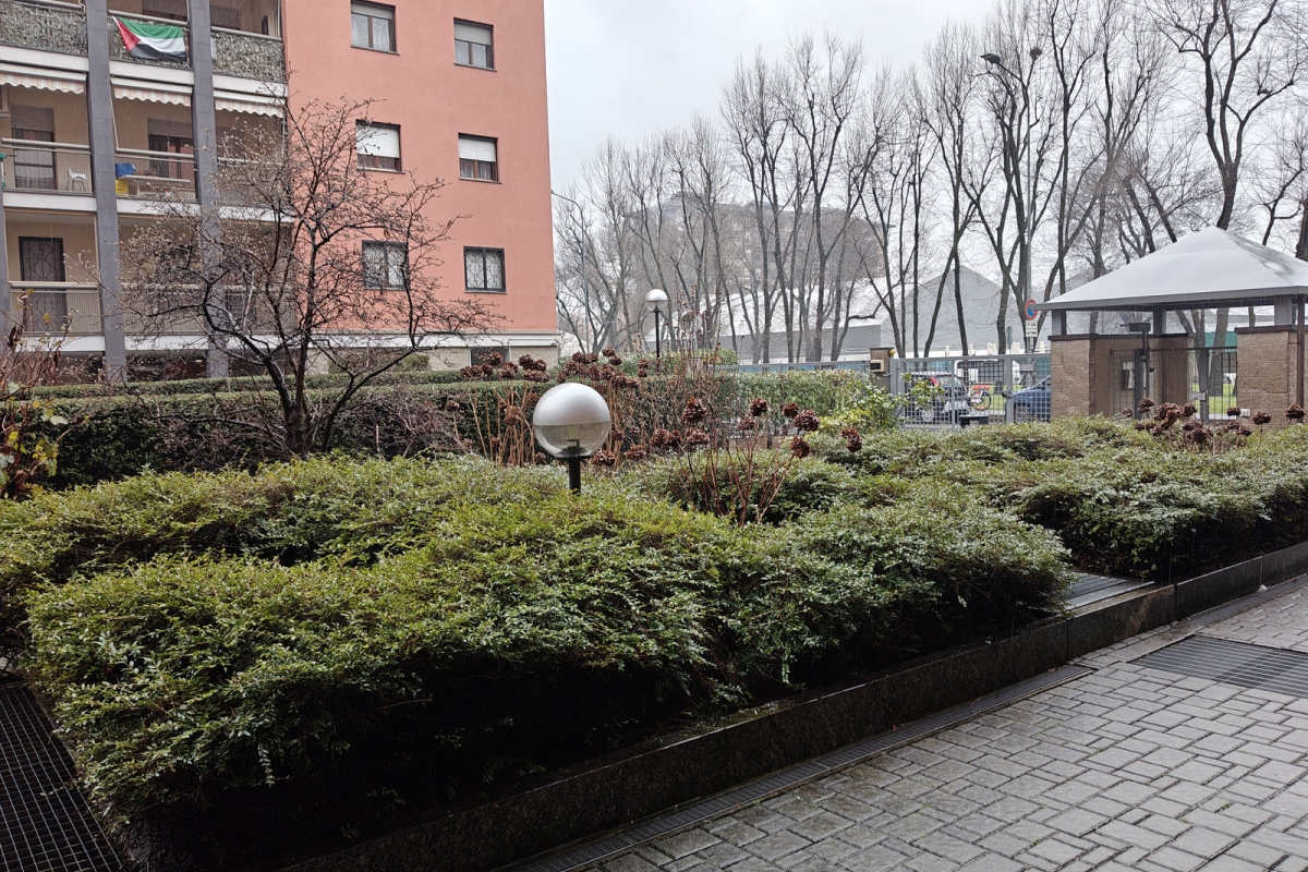24cortile-gon