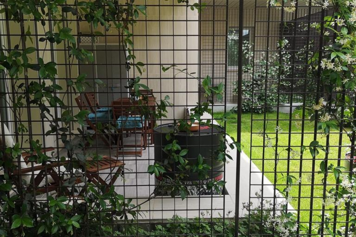 10giardino